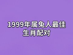 1999年属兔人最佳生肖配对:属狗/属猪/属羊