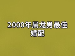 2000年属龙男最佳婚配:生肖