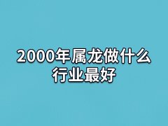 2000年属龙做什么行业最好