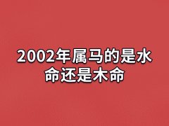 2002年属马的是水命还是木