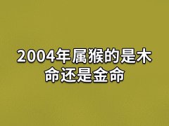 2004年属猴的是木命还是金命:木猴之命(五行属木)