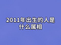 2011年出生的人是什么属相:生肖兔(农历辛卯年)