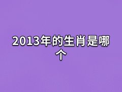 2013年的生肖是哪个,2013年