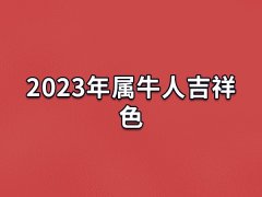 2023年属牛人吉祥色:紫色