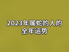 2023年属蛇的人的全年运势