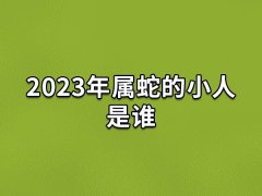 2023年属蛇的小人是谁:生肖