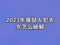 2023年属鼠人犯太岁怎么破