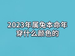 2023年属兔本命年穿什么颜色的:红色/橙色/紫色