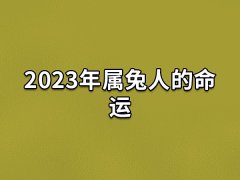 2023年属兔人的命运:事业很顺(晚婚晚育)