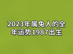 2023年属兔人的全年运势1987出生:困难很多(金钱流失)