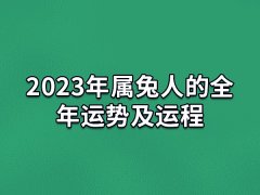 2023年属兔人的全年运势及运程:事业有进步(注意自身健康)