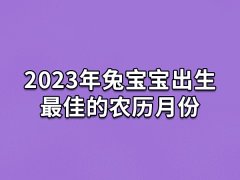 2023年兔宝宝出生最佳的农历月份:四月/六月/七月/十月