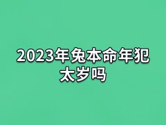 2023年兔本命年犯太岁吗:犯太岁(运势不稳)