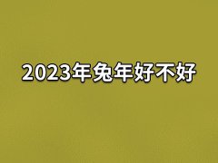 2023年兔年好不好:黑兔年(感情受挫)