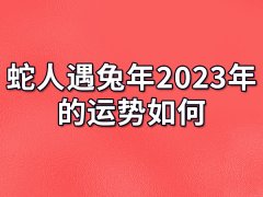 蛇人遇兔年2023年的运势如