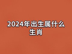 2024年出生属什么生肖:生肖