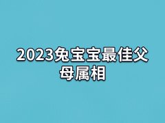 2023兔宝宝最佳父母属相:生肖羊/生肖狗/生肖猪