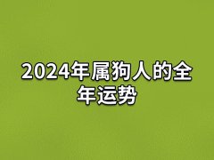 2024年属狗人的全年运势