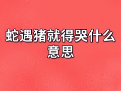 蛇遇猪就得哭什么意思：