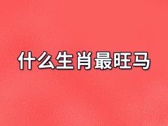 什么生肖最旺马：属兔/属