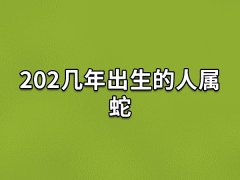 202几年出生的人属蛇:202