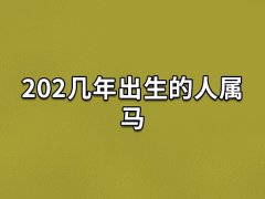 202几年出生的人属马:202