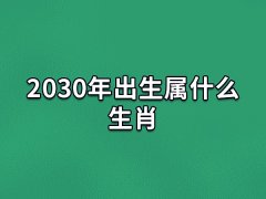 2030年出生属什么生肖:生肖