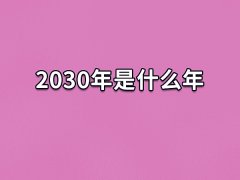 2030年是什么年:农历庚戌年