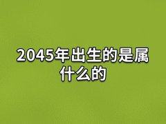 2045年出生的是属什么的