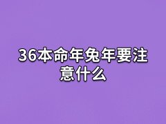 36本命年兔年要注意什么:注意安全(躲避小人)