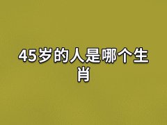 45岁的人是哪个生肖:生肖