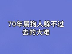 70年属狗人躲不过去的大难