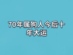 70年属狗人今后十年大运