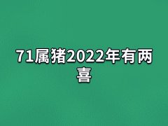 71属猪2022年有两喜:财运不