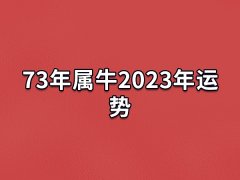 73年属牛2023年运势:事业遭