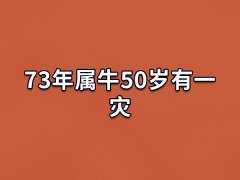 73年属牛50岁有一灾:事业遇