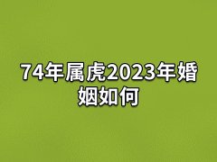 74年属虎2023年婚姻如何:婚