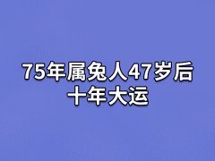 75年属兔人47岁后十年大运:事业稳定(健康运较差)