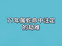 77年属蛇命中注定的劫难