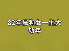 82年属狗女一生大劫年:4