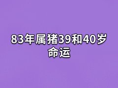 83年属猪39和40岁命运:39岁