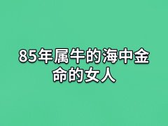 85年属牛的海中金命的女人