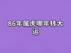 86年属虎哪年转大运:2025年