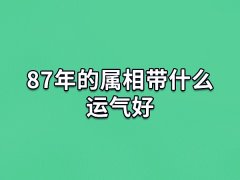 87年的属相带什么运气好:玉貔貅/紫水晶/本命佛