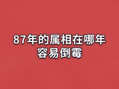 87年的属相在哪年容易倒霉:鼠年/龙年/鸡年