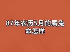 87年农历5月的属兔命怎样:事业出色(财运很好)