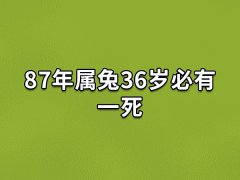 87年属兔36岁必有一死:犯太岁年(健康运差)