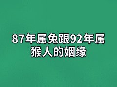 87年属兔跟92年属猴人的姻缘:可以婚配(小吉婚姻)