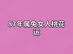 87年属兔女人桃花运:桃花运不错(感情平稳)