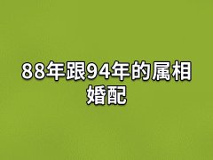 88年跟94年的属相婚配:不太